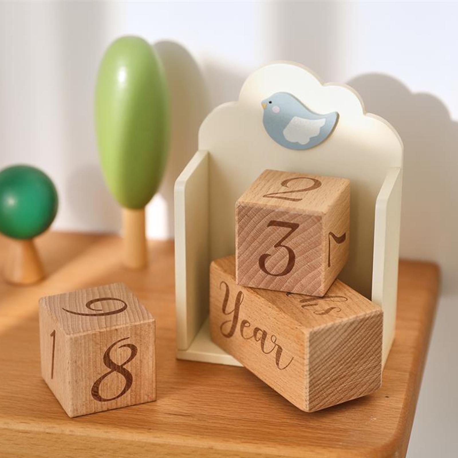 Wooden Baby Milestone Age Bloc - Baby Nursery Age recension och pris